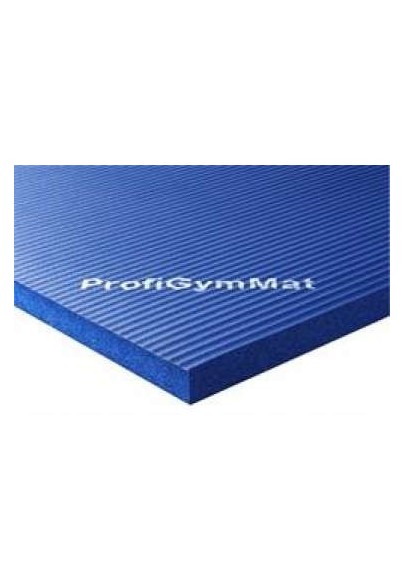 2,5 cm storio mėlynas mankštos kilimėlis reabilitacijai
