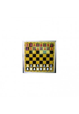 Magnetinė demonstracinė šachmatų lenta